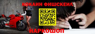 гашик Будённовск