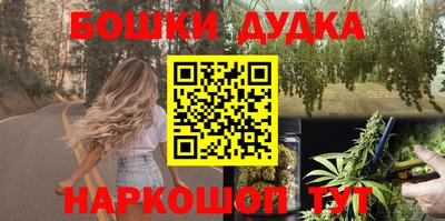 гашик Будённовск