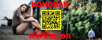 гашик Будённовск