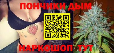 гашик Будённовск