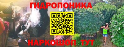 гашик Будённовск