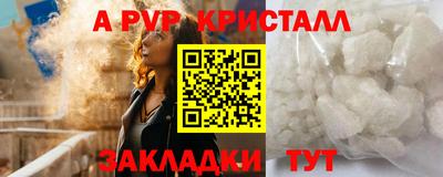 гашик Будённовск