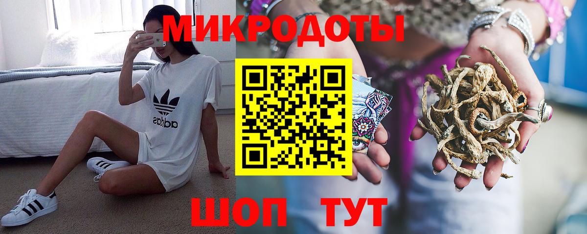 Псилоцибиновые грибы Psilocybine cubensis Саяногорск